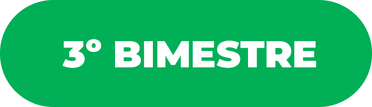 3º Bimestre